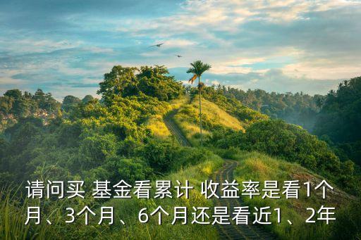 請問買 基金看累計 收益率是看1個月、3個月、6個月還是看近1、2年