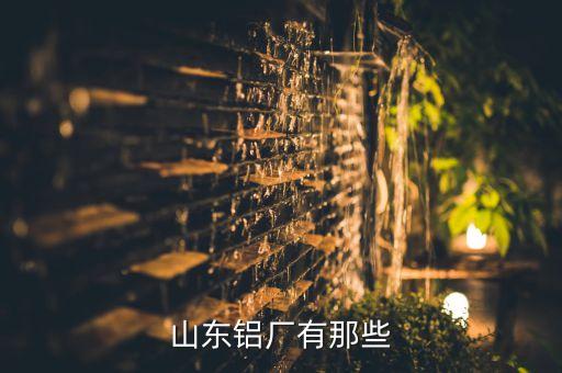 中國宏橋集團(tuán)