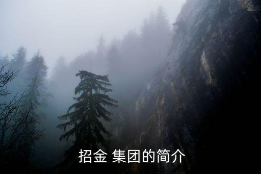  招金 集團(tuán)的簡介