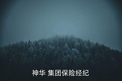 民太安集團(tuán)