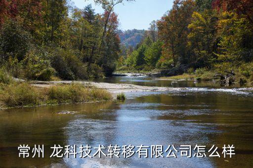常州 龍科技術轉移有限公司怎么樣