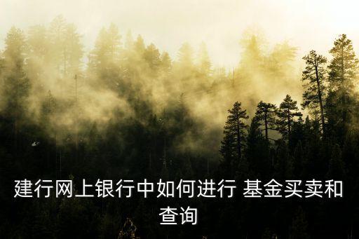 建行網(wǎng)上銀行中如何進(jìn)行 基金買(mǎi)賣(mài)和查詢(xún)