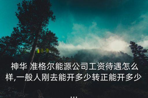 神華集團準格爾總經(jīng)理,準格爾神華集團露天煤礦