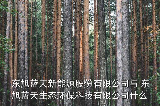  東旭藍(lán)天新能源股份有限公司與 東旭藍(lán)天生態(tài)環(huán)?？萍加邢薰臼裁? class=