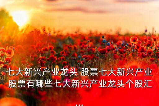 七大新興產業(yè)龍頭 股票七大新興產業(yè) 股票有哪些七大新興產業(yè)龍頭個股匯...