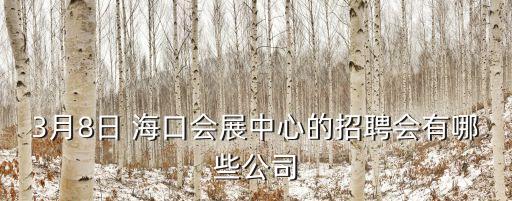 ?？谛鲁菂^(qū)開發(fā)有限公司,海口美之安房地產開發(fā)有限公司