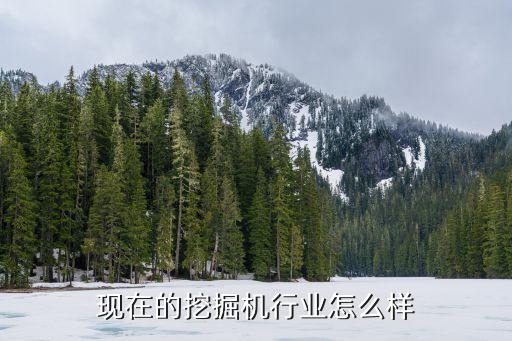 投資買個挖土機好不好