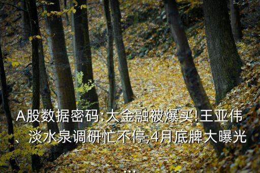 A股數(shù)據(jù)密碼:大金融被爆買!王亞偉、淡水泉調(diào)研忙不停,4月底牌大曝光...
