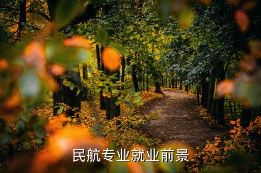 民航專(zhuān)業(yè)就業(yè)前景