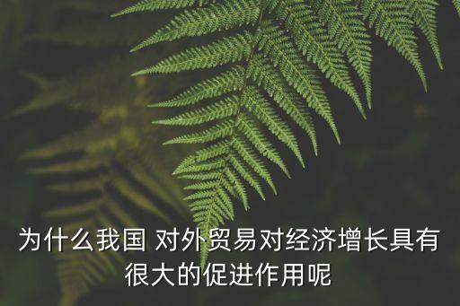 為什么我國 對外貿易對經濟增長具有很大的促進作用呢