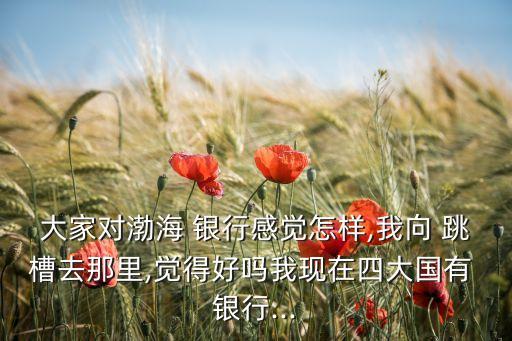 大家對(duì)渤海 銀行感覺(jué)怎樣,我向 跳槽去那里,覺(jué)得好嗎我現(xiàn)在四大國(guó)有 銀行...