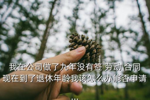 我在公司做了九年沒有簽 勞動 合同現(xiàn)在到了退休年齡我該怎么辦能否申請...