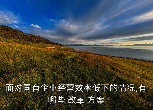 公司股份制改革方案,關(guān)于公司改革方案的報告