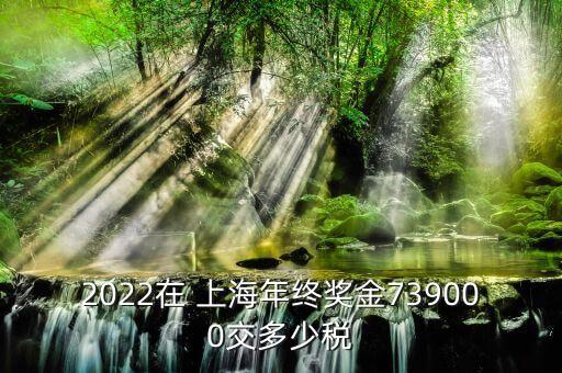 上海個人所得稅計算公式,2022年工資個人所得稅計算公式