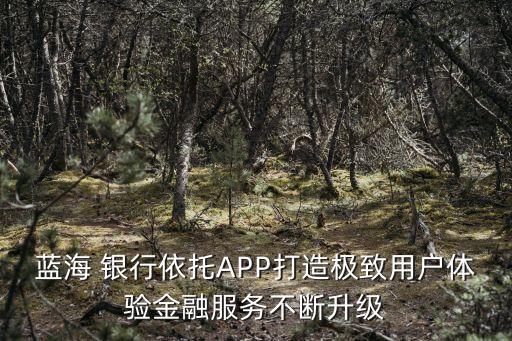 藍(lán)海 銀行依托APP打造極致用戶體驗(yàn)金融服務(wù)不斷升級(jí)
