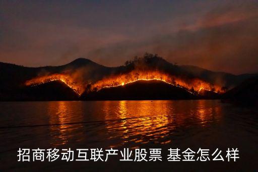 招商移動(dòng)互聯(lián)產(chǎn)業(yè)股票 基金怎么樣
