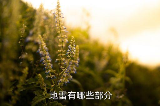 中國(guó)有多少種地雷,世界上有多少種地雷