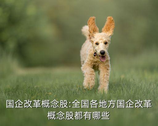 國(guó)企改革概念股:全國(guó)各地方國(guó)企改革概念股都有哪些