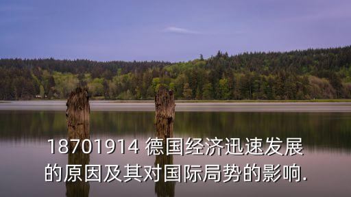 18701914 德國經(jīng)濟(jì)迅速發(fā)展的原因及其對(duì)國際局勢(shì)的影響.