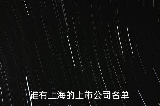 萬達信息股份有限公司2013年年度報告