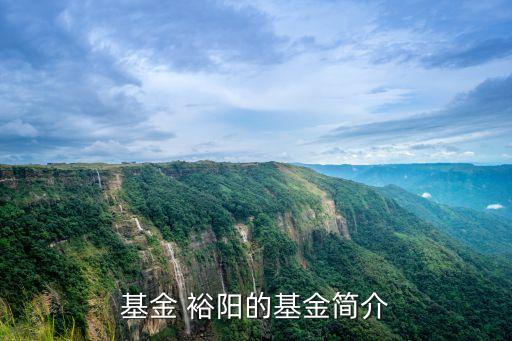 基金 裕陽(yáng)的基金簡(jiǎn)介