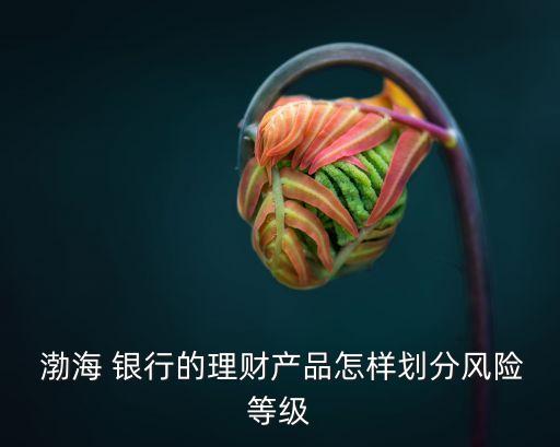  渤海 銀行的理財產品怎樣劃分風險等級