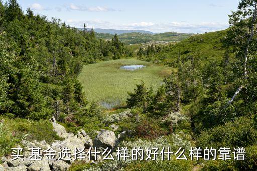 040035好買(mǎi)基金,查一下040035基金今天凈值