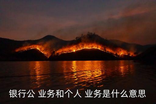 銀行公 業(yè)務和個人 業(yè)務是什么意思