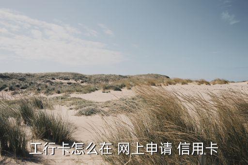 工行卡怎么在 網上申請 信用卡