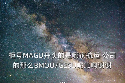 柜號(hào)MAGU開(kāi)頭的是哪家航運(yùn) 公司的那么BMOU/GESU呢急啊謝謝...