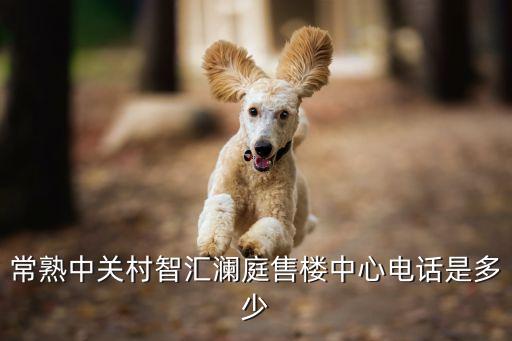 常熟中關村智匯瀾庭售樓中心電話是多少