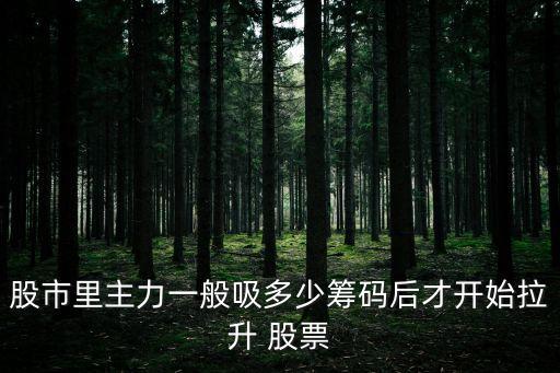 股市里主力一般吸多少籌碼后才開(kāi)始拉升 股票