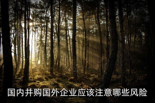 國內(nèi)并購國外企業(yè)應(yīng)該注意哪些風(fēng)險(xiǎn)
