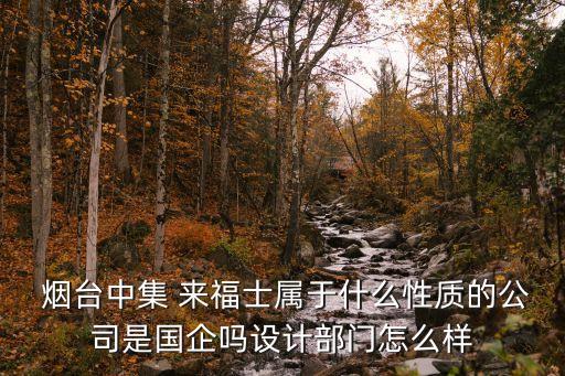  煙臺(tái)中集 來福士屬于什么性質(zhì)的公司是國企嗎設(shè)計(jì)部門怎么樣