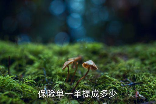 保險公司同業(yè)引進(jìn)給多少錢