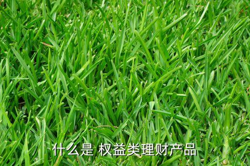 什么是 權(quán)益類(lèi)理財(cái)產(chǎn)品