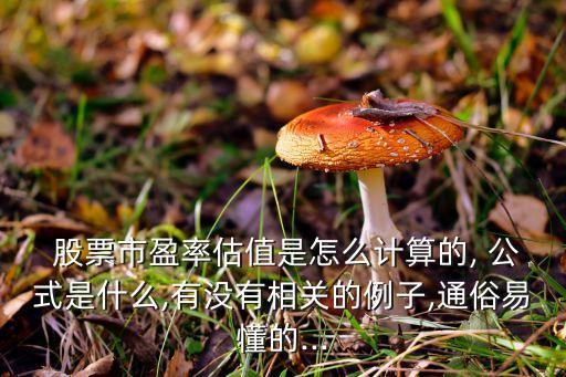  股票市盈率估值是怎么計(jì)算的, 公式是什么,有沒有相關(guān)的例子,通俗易懂的...