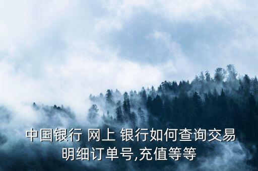  中國銀行 網(wǎng)上 銀行如何查詢交易明細(xì)訂單號(hào),充值等等