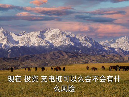 現(xiàn)在 投資 充電樁可以么會不會有什么風(fēng)險