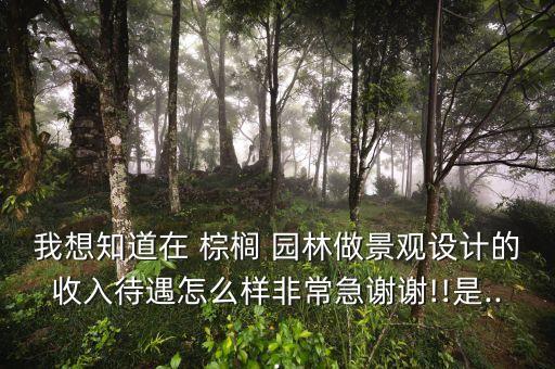我想知道在 棕櫚 園林做景觀(guān)設(shè)計(jì)的收入待遇怎么樣非常急謝謝!!是...