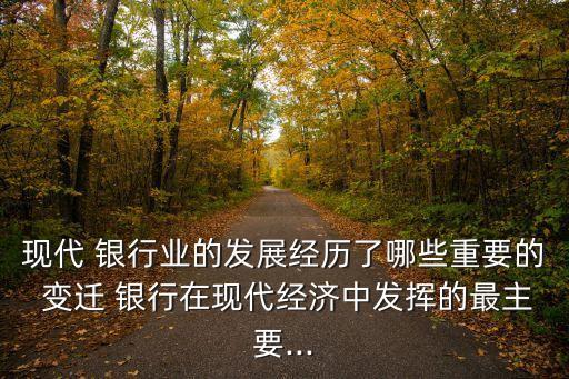 現(xiàn)代 銀行業(yè)的發(fā)展經歷了哪些重要的 變遷 銀行在現(xiàn)代經濟中發(fā)揮的最主要...