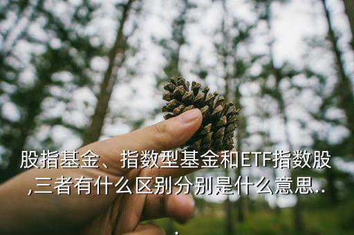 股指基金、指數(shù)型基金和ETF指數(shù)股,三者有什么區(qū)別分別是什么意思...