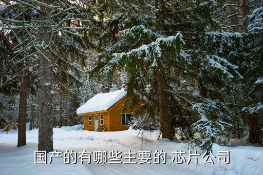 國(guó)產(chǎn)的有哪些主要的 芯片公司