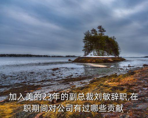 加入美的23年的副總裁劉敏辭職,在職期間對(duì)公司有過哪些貢獻(xiàn)