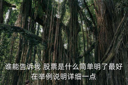 誰(shuí)能告訴我 股票是什么簡(jiǎn)單明了最好在舉例說(shuō)明詳細(xì)一點(diǎn)
