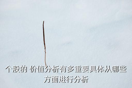 個股的 價值分析有多重要具體從哪些方面進行分析