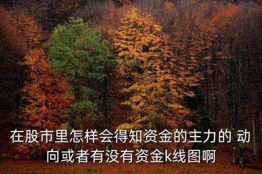 在股市里怎樣會(huì)得知資金的主力的 動(dòng)向或者有沒(méi)有資金k線(xiàn)圖啊