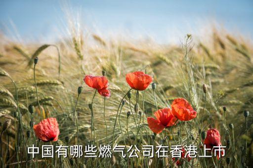 中國(guó)有哪些燃?xì)夤驹谙愀凵鲜? class=