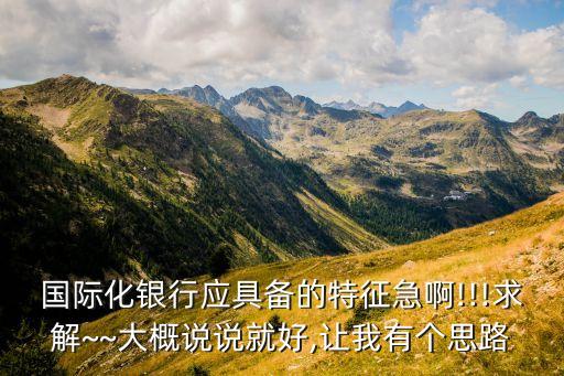 國際化銀行應(yīng)具備的特征急啊!!!求解~~大概說說就好,讓我有個思路