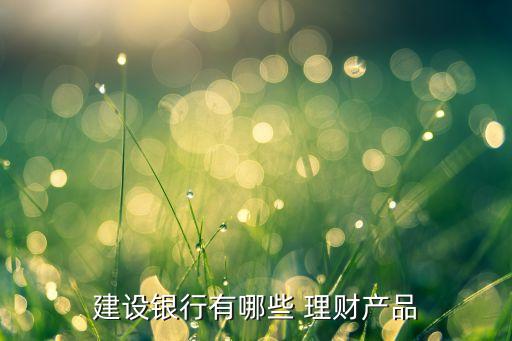 建設(shè)銀行有哪些 理財產(chǎn)品